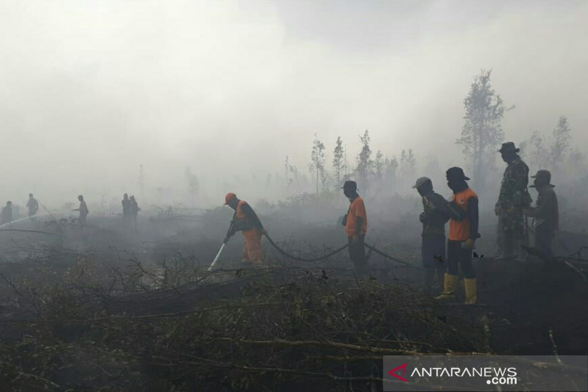 BPBD Sumsel: Karhutla paling luas ada di Ogan Komering Ilir