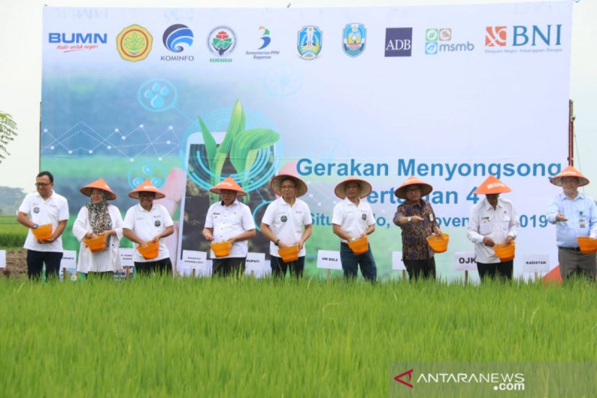 Teknologi 4.0 dalam berkebun digunakan petani di Situbondo