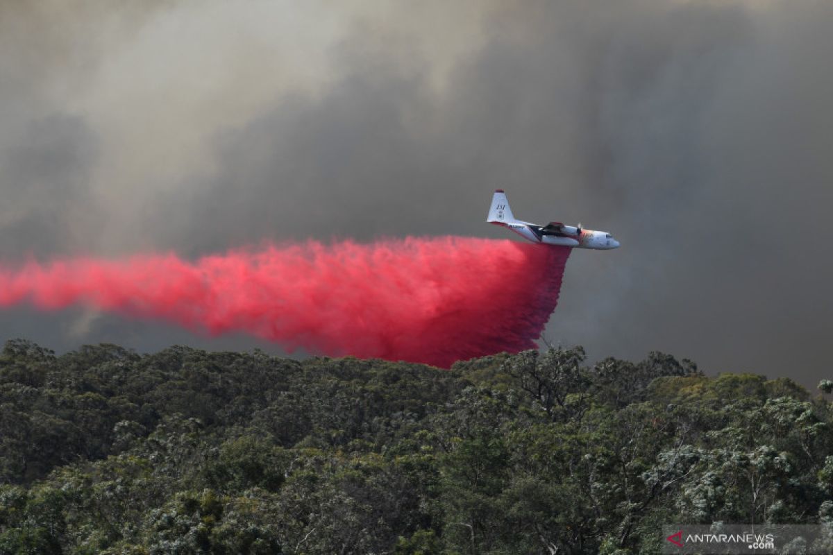 Pesisir timur Australia diamuk kebakaran hutan