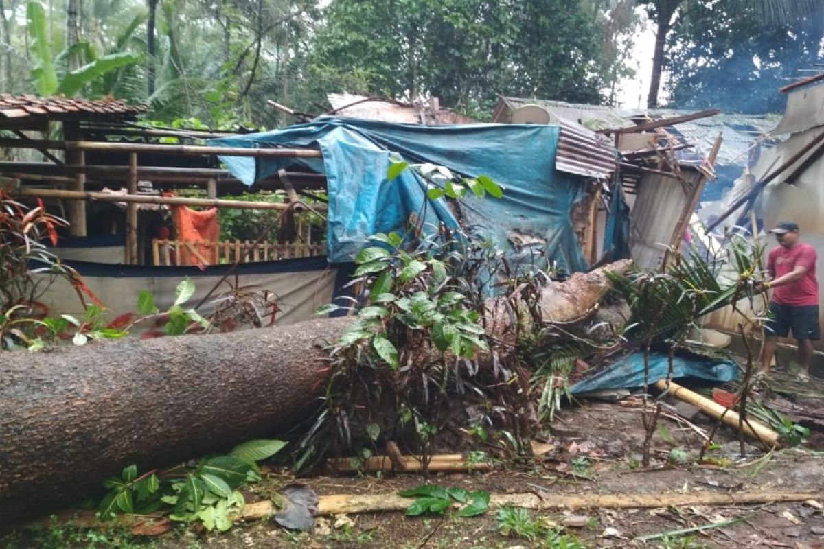 Waspadai angin kencang, BPBD Banyumas ingatkan warga