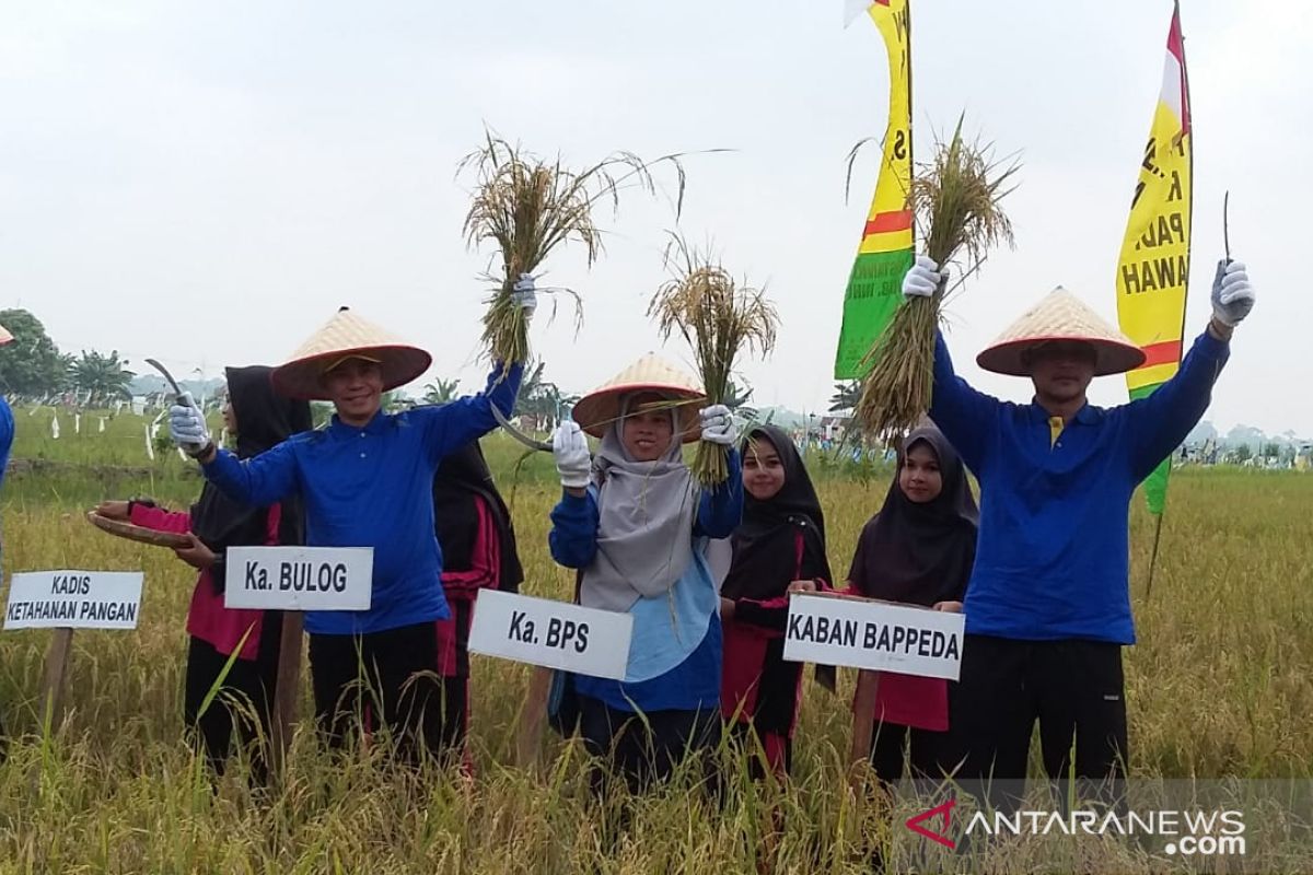 Realisasi serapan padi Bulog Riau nomer tiga terbesar nasional