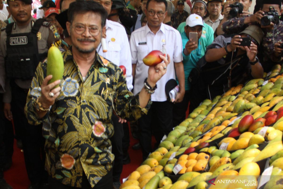 Mentan Syahrul Limpo dorong ekspor buah Indonesia