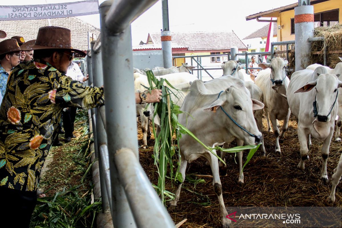 Kementan dorong koperasi di Subang jadi percontohan korporasi peternak