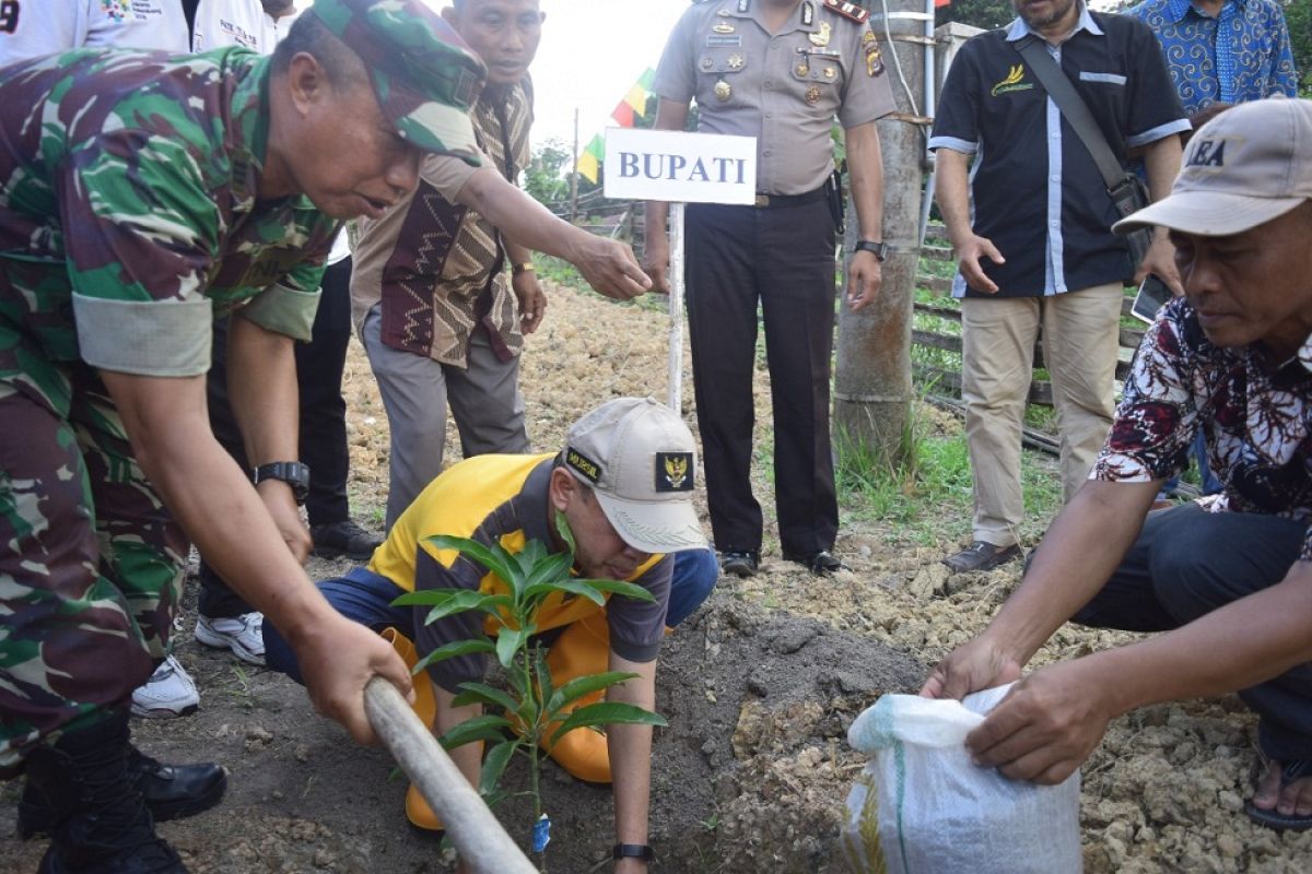 Distanbunak Aceh Tamiang galakkan tanaman buah lewat kelompok Tani