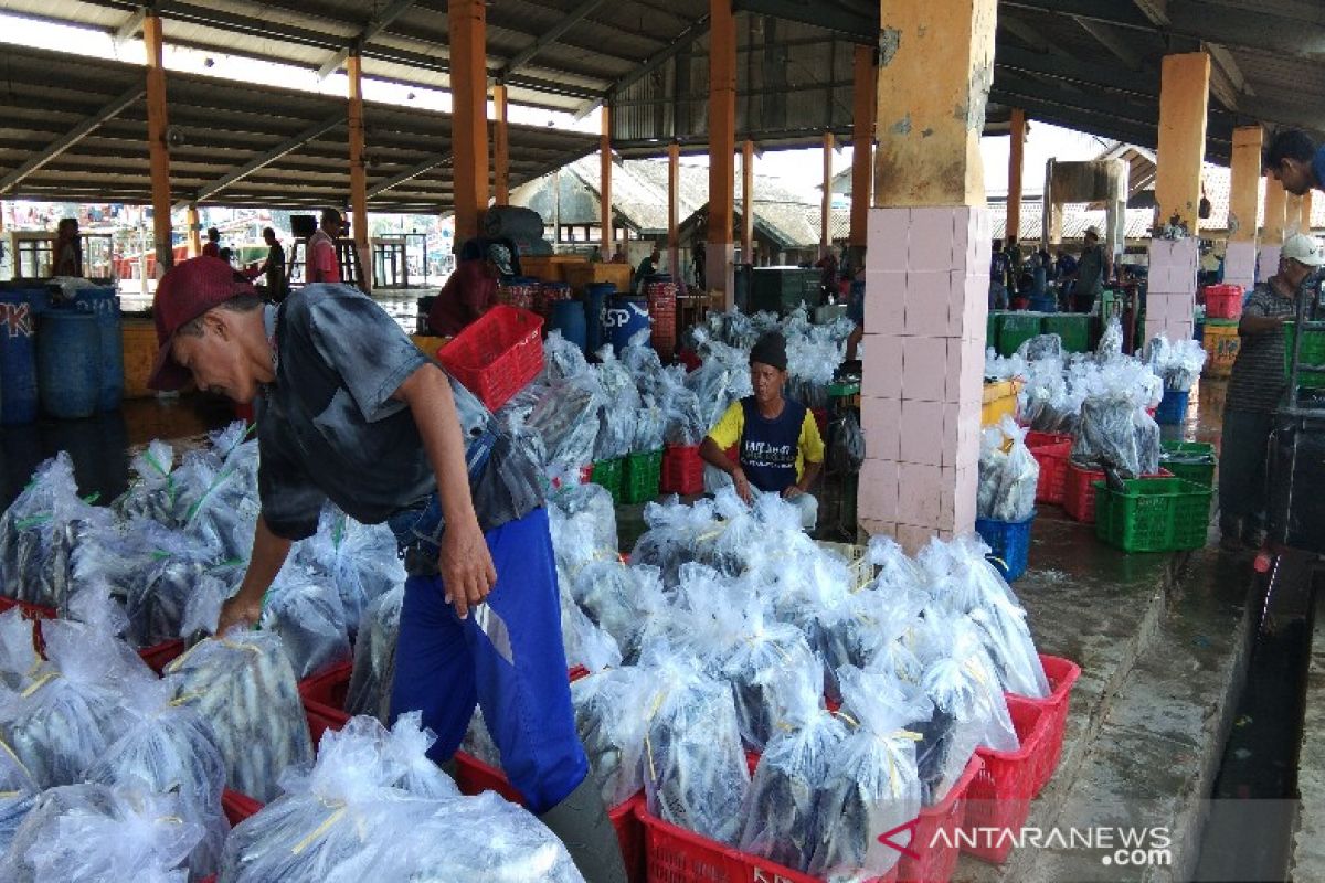 Target penerimaan retribusi TPI Pekalongan terancam tidak tercapai