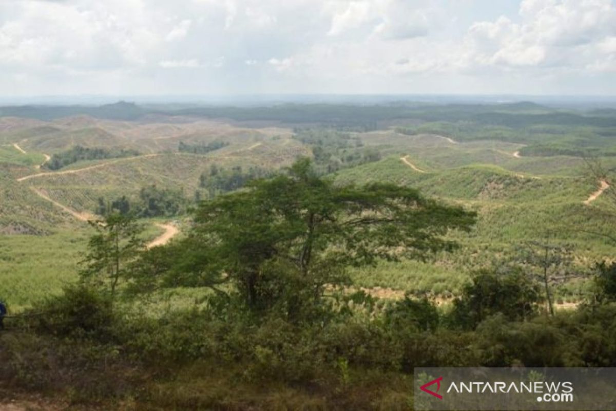 Istana kepresidenan akan dibangun di wilayah Kecamatan Sepaku