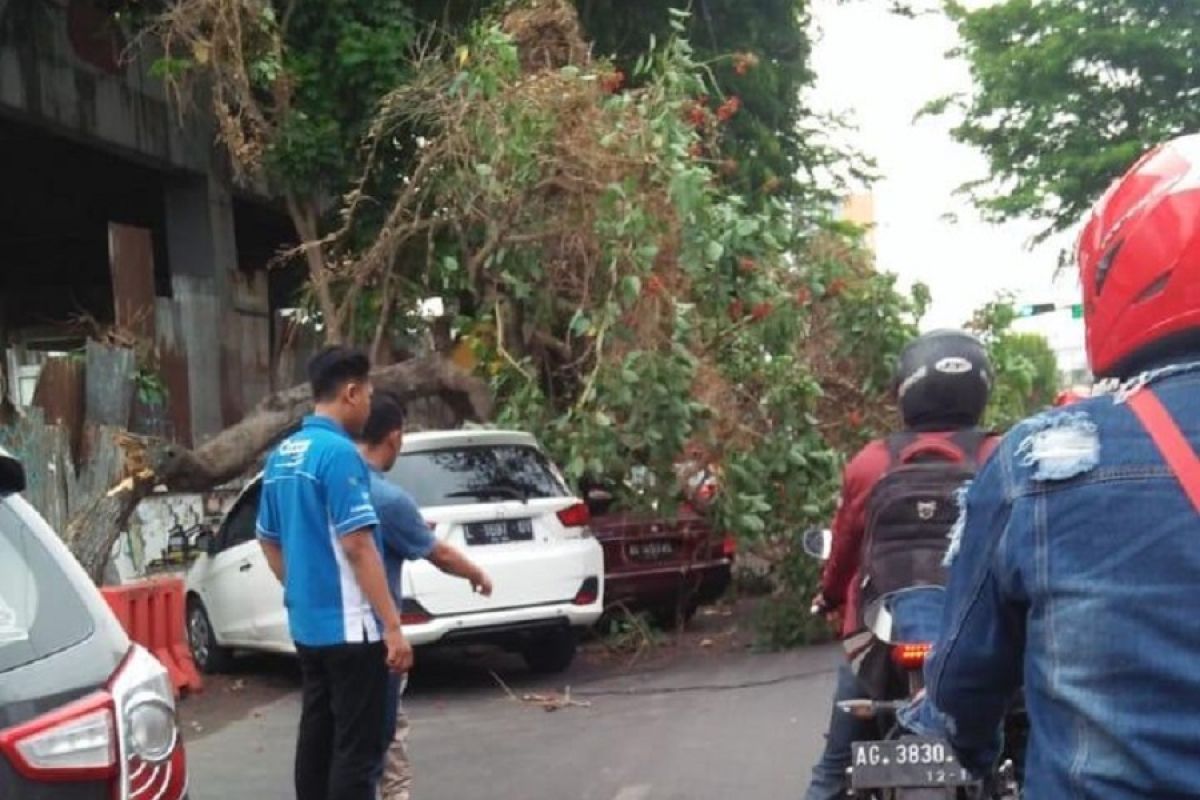 BPBD Kota Kediri imbau warga pangkas ranting pohon