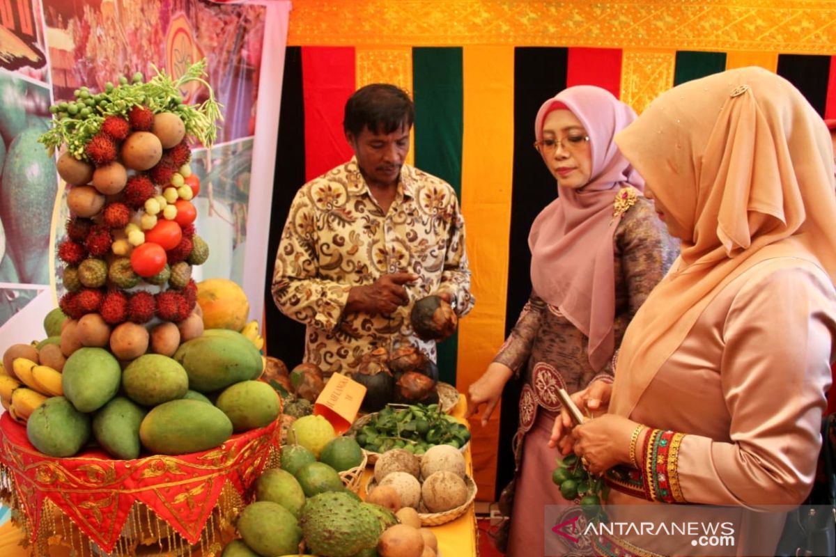 Pemerintah Aceh promosikan komoditas buah langka