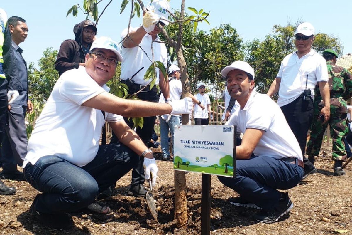 Di Pesisir Pasuruan, HCML tanam 15 ribu mangrove