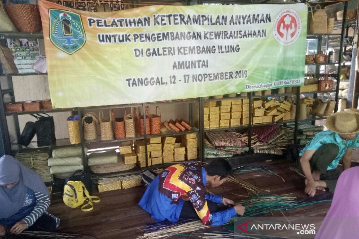 Dekranasda latih anggota KNPI dan BRG menjadi pengusaha perajin