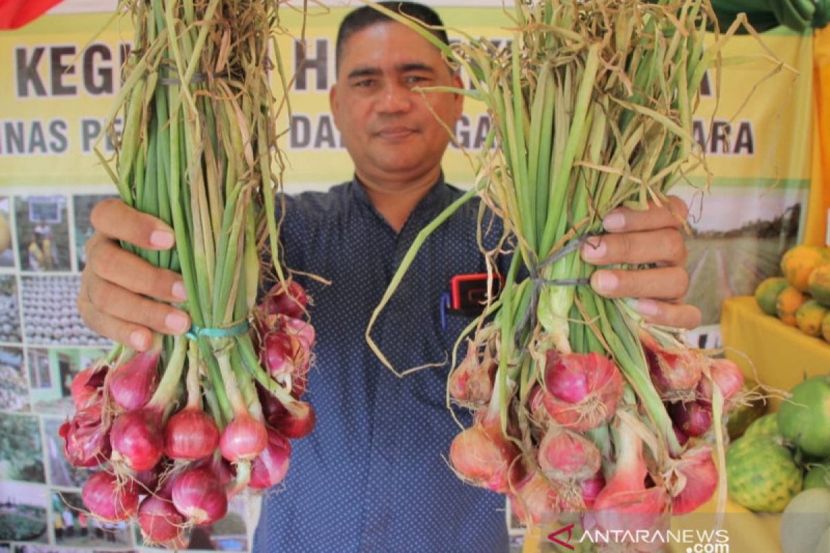 Aceh Utara pasok bawang merah dari luar Sumatera