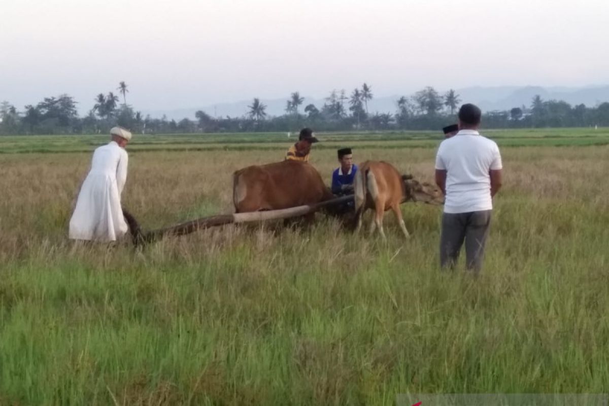 Upacara adat "Appalili" pertanda musim tanam di Kabupaten Maros