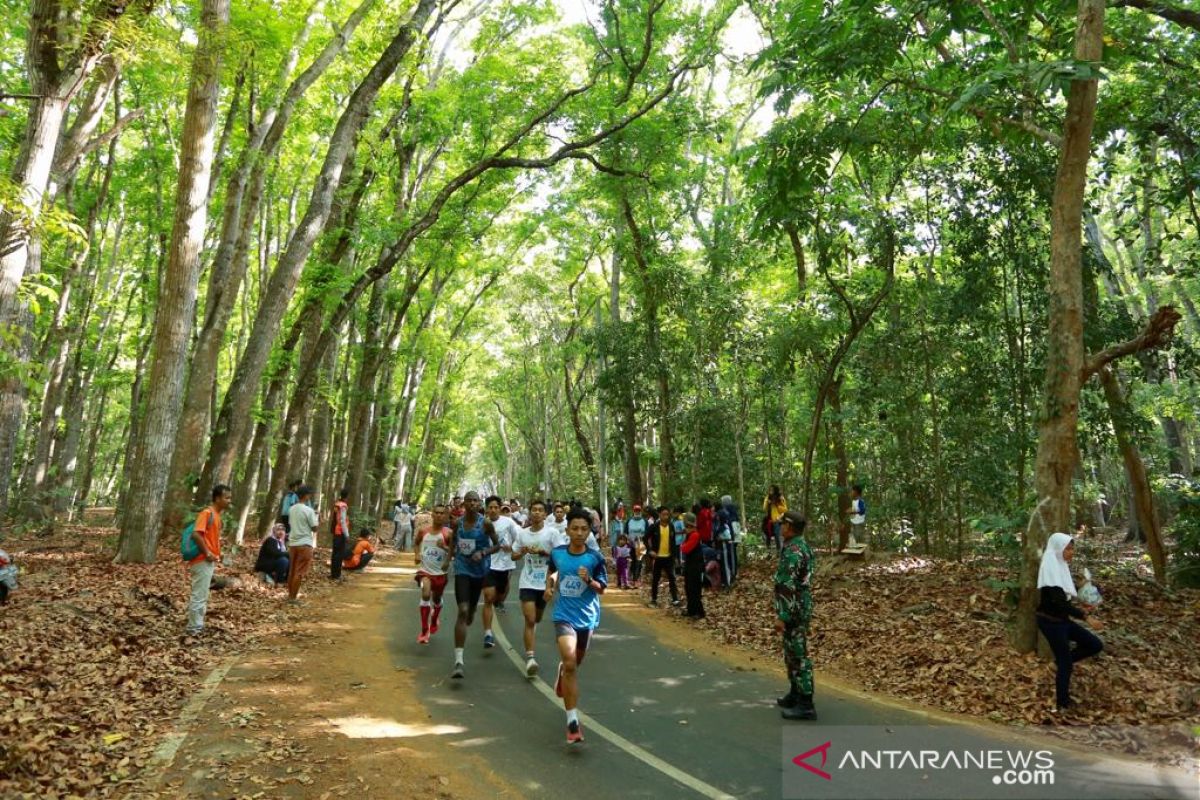 500 pelari ikuti Alas Purwo Geopark Green Run di Banyuwangi
