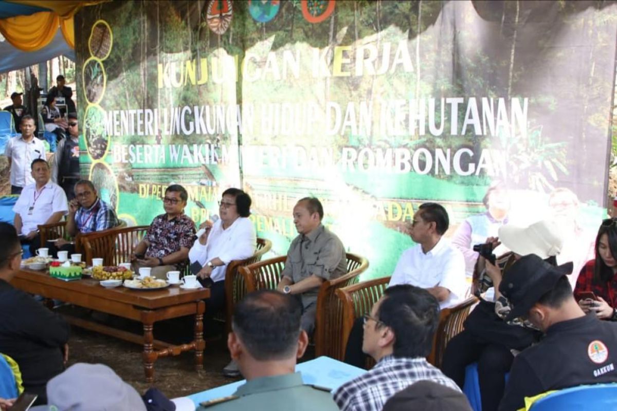 Pemerintah anggarkan rehabilitasi hutan dan lahan Rp2,7 triliun