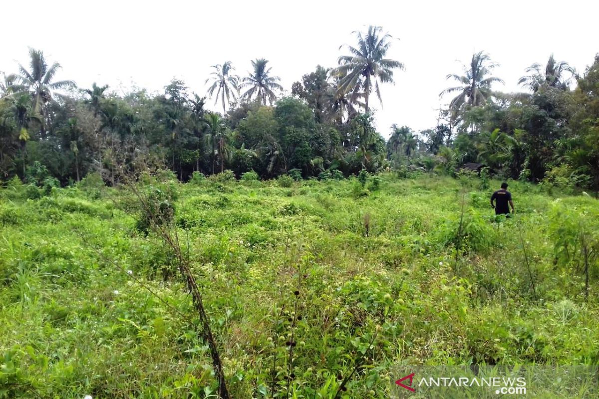Masyarakat Angkola Barat butuh perhatian perbaikan bendung irigasi Saba Tahalak