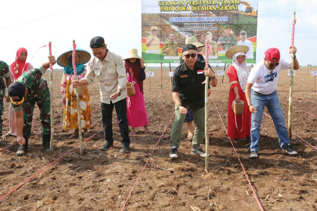 Kalsel buka lahan pertanian 250 ribu hektare melalui program Serasi