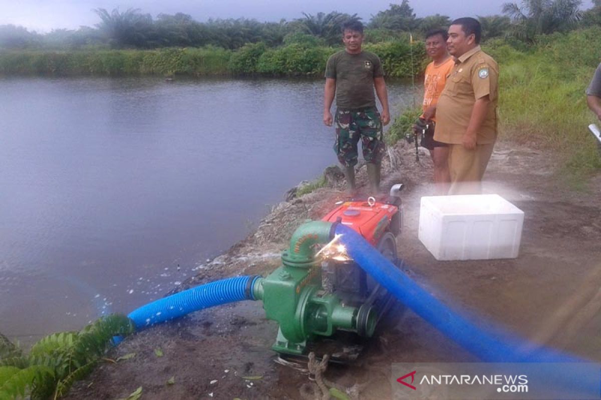 DKP Abdya aktifkan lima hektare tambak ikan payau