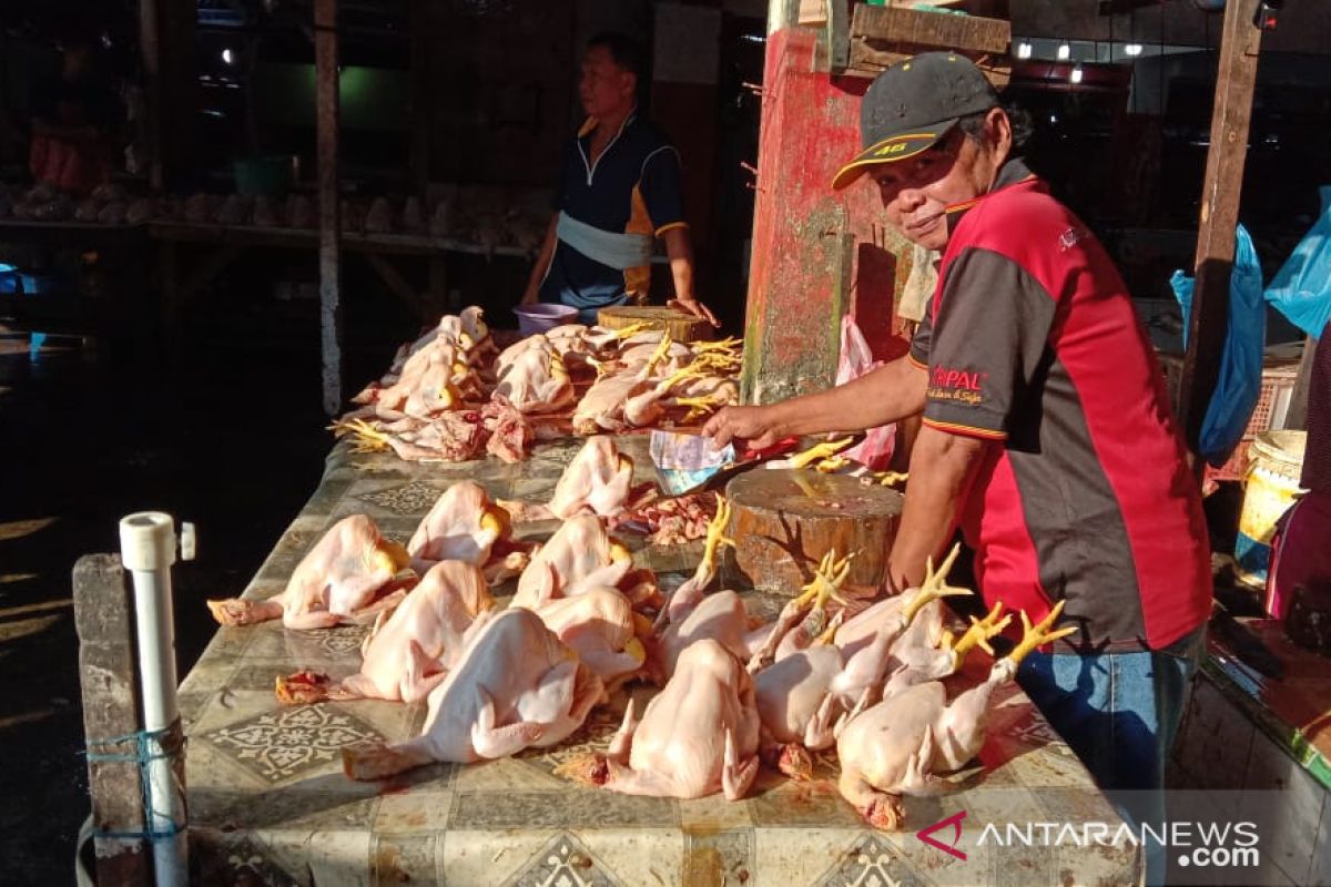 Harga daging ayam kampung di Kota Ambon mahal