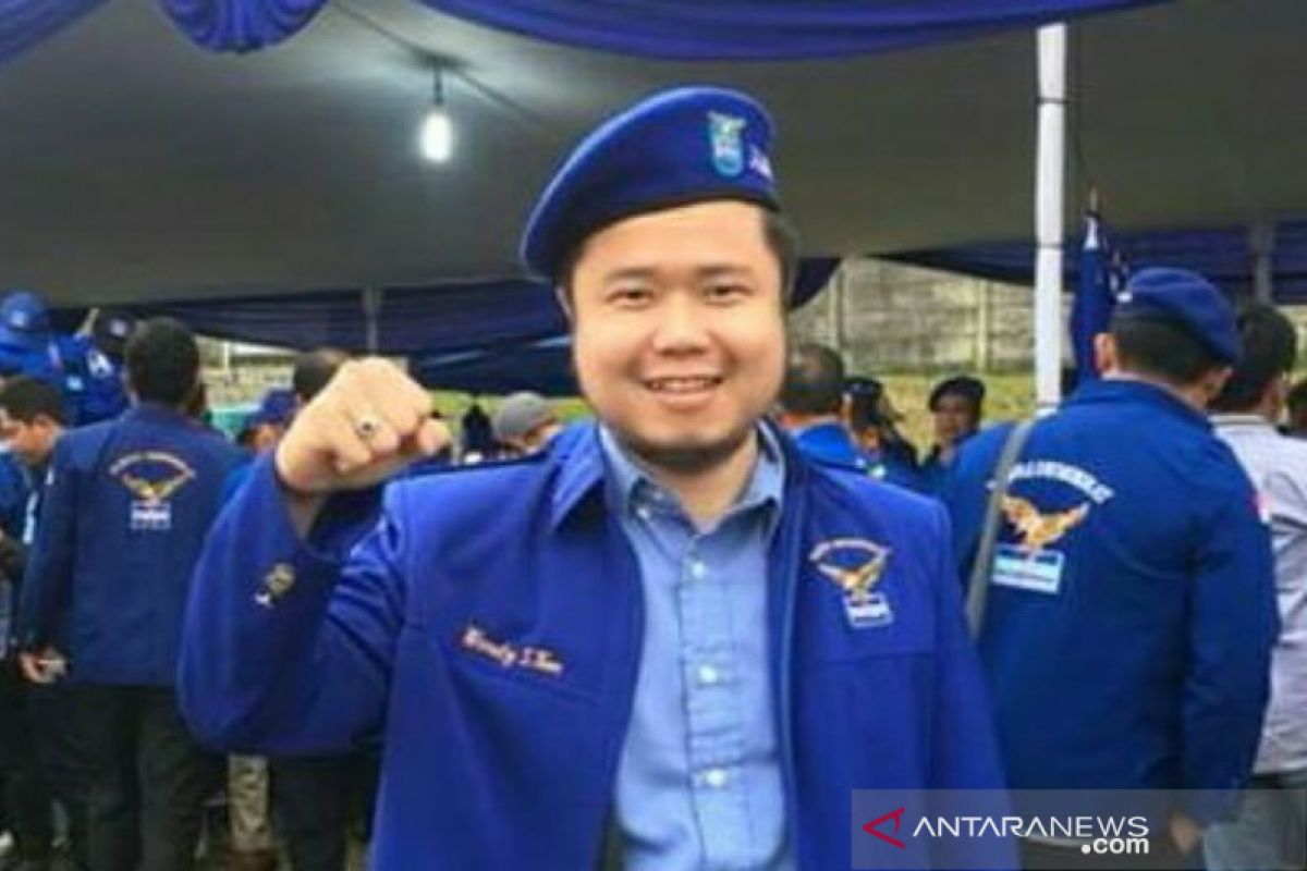 Partai Demokrat Bangka Selatan prioritaskan kader internal maju Pilkada