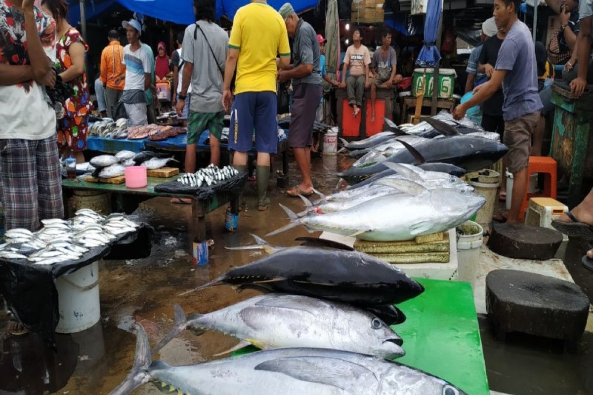 DKP dan BLH Jayapura periksa ikan untuk pastikan pencemaran merkuri