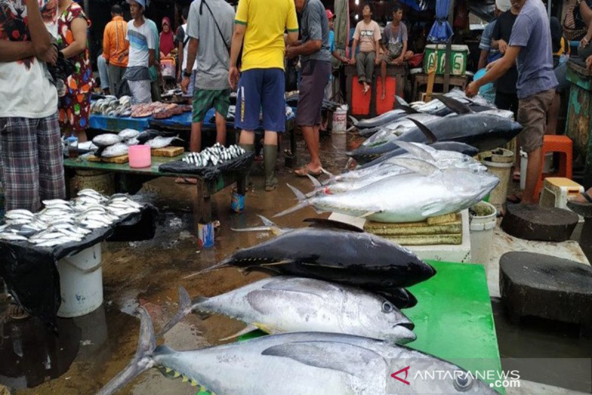 Pastikan tidak mengandung merkuri, DKP dan BLH Jayapura periksa ikan