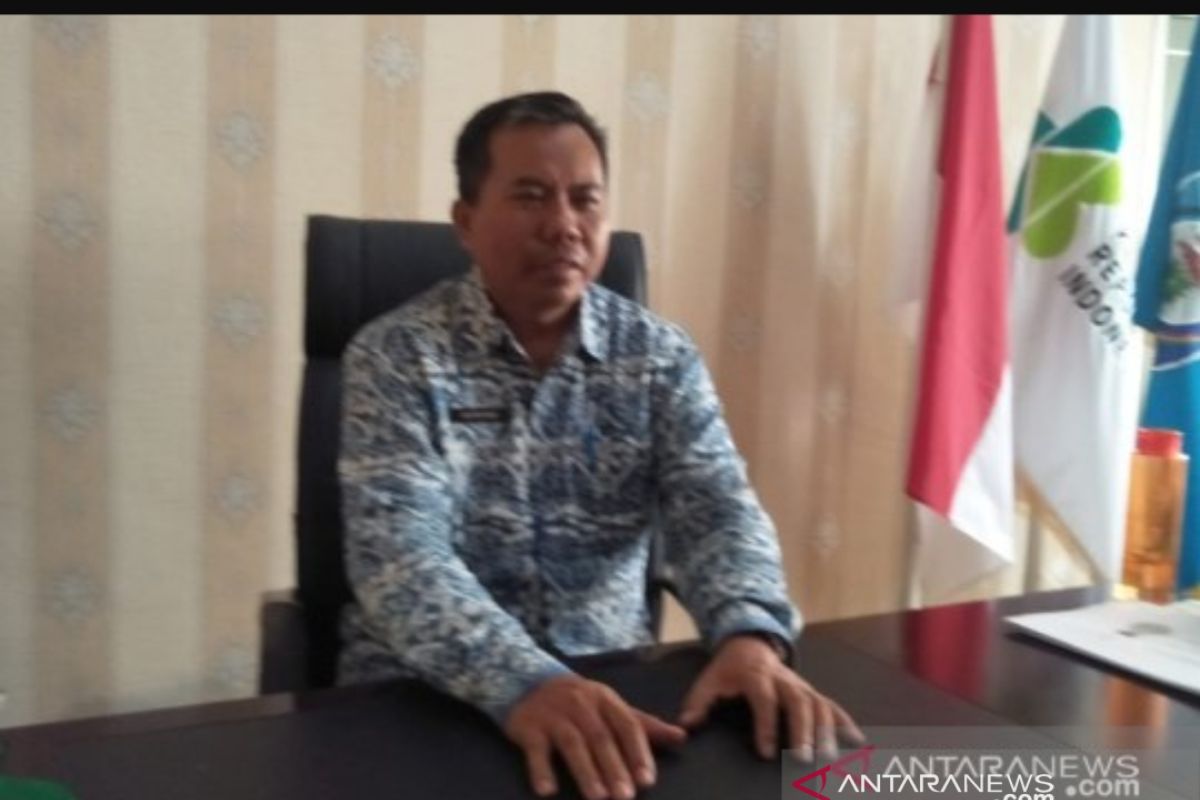 Kasus DBD di Bangka Selatan Sepanjang 2019 Meningkat, 1 Orang Meninggal Dunia