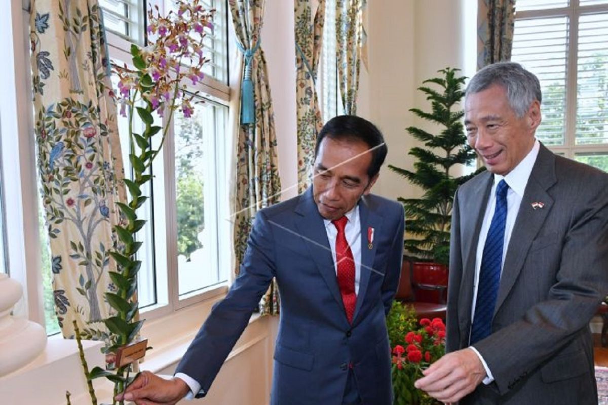 @jokowi tweets yet to comprehensively capture his foreign policy