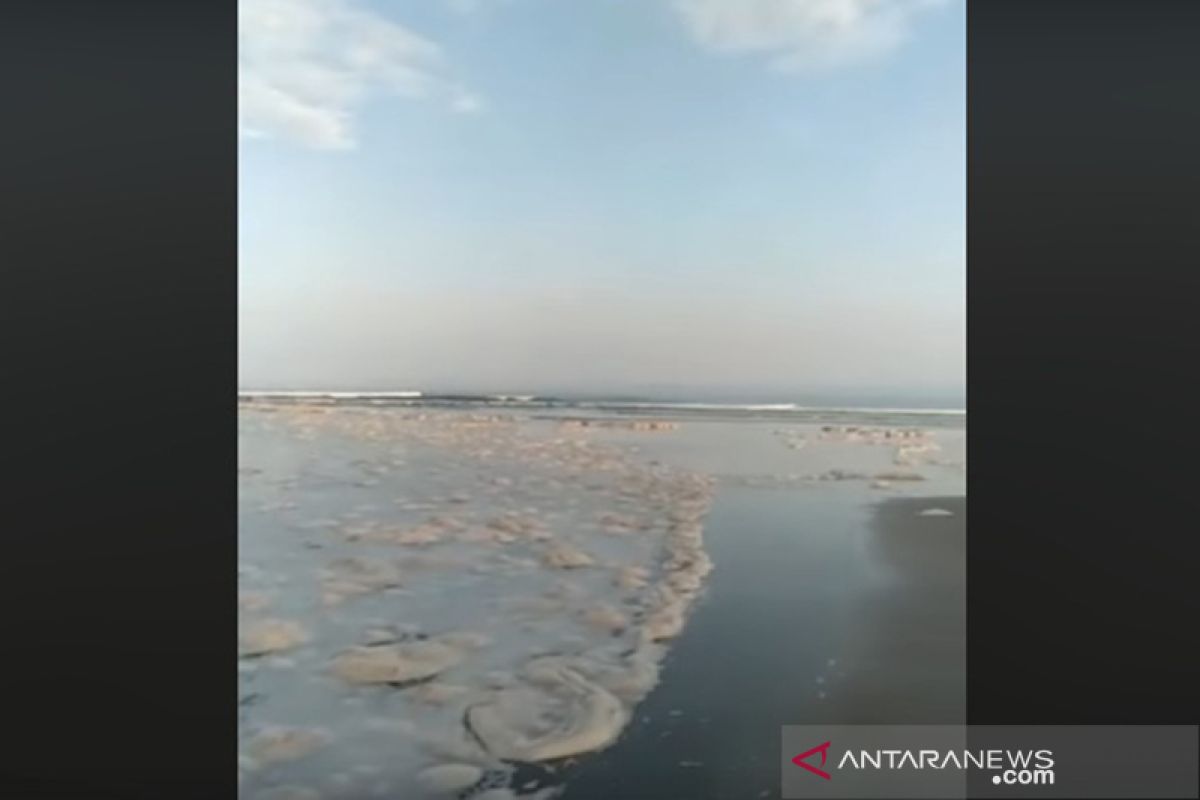 Pantai Teluk Sepang dipenuhi buih diduga buangan PLTU Bengkulu