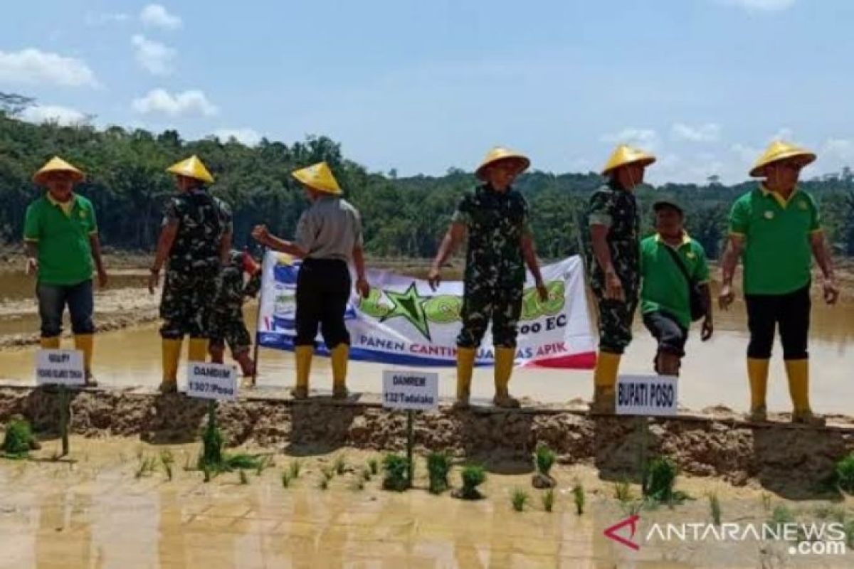 Aceh Tamiang klaim cetak sawah baru 290 hektare bakal terealisasi