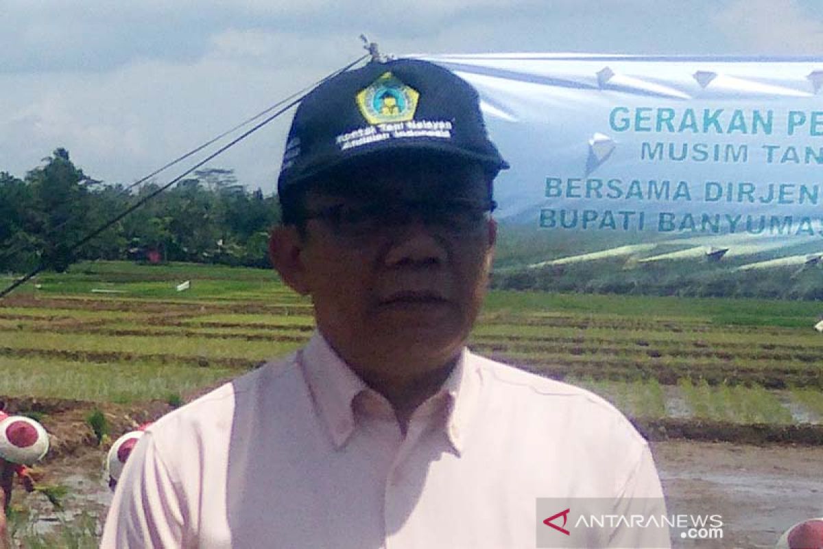 500 hektare sawah di Banyumas rawan banjir