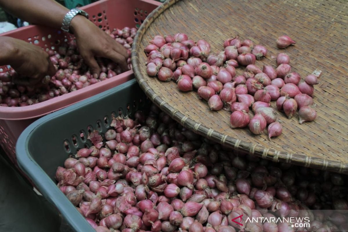 Harga bawang merah lebih murah Rp3 ribu di Pasar Tani