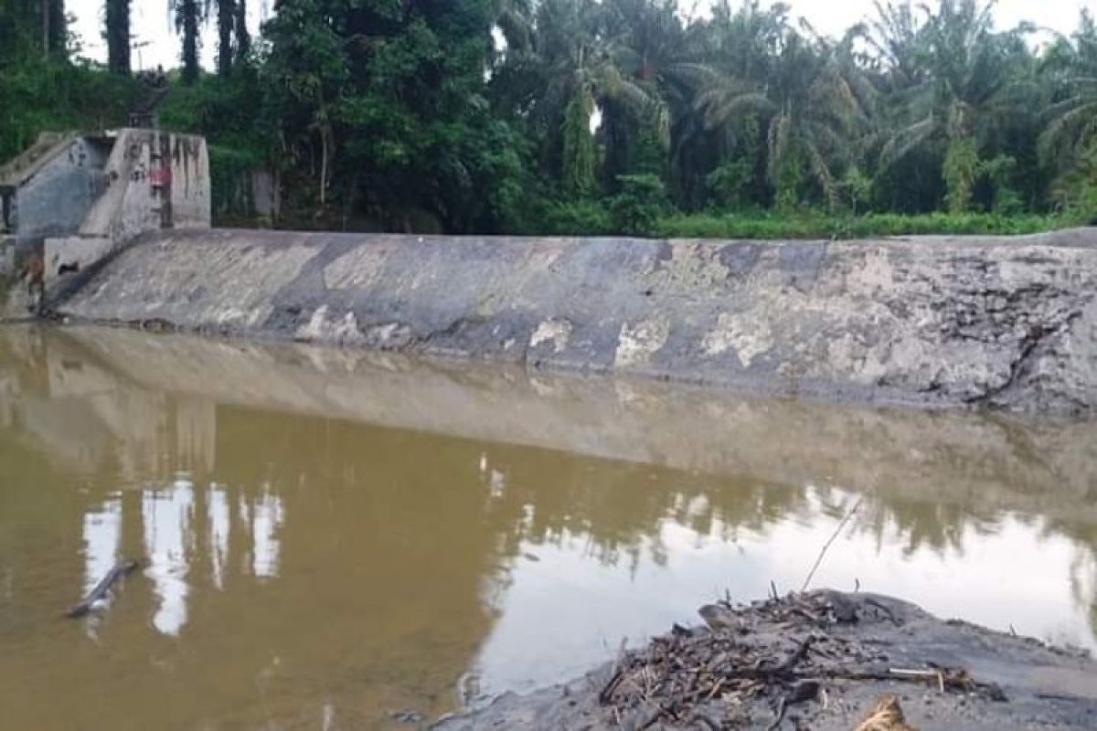 Irigasi rusak di Langkat, petani terancam gagal tanam