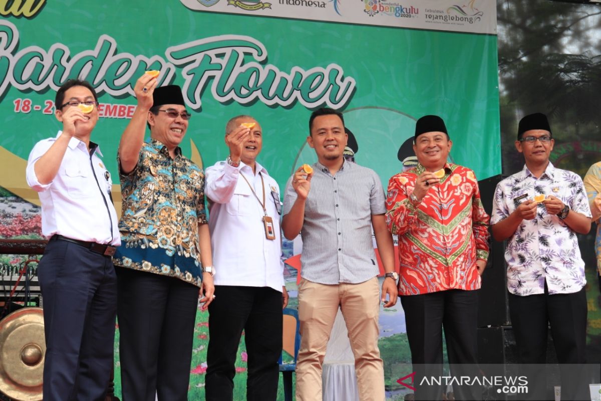 Jeruk Rejang Lebong tembus pasar nasional