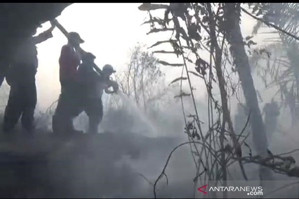 50 hektare gambut di Bengkulu Tengah terbakar