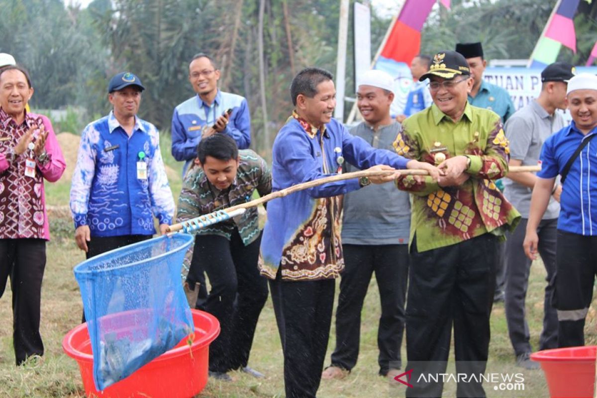 Peringati Hari Ikan Nasional, Ponpes Ibnu Atha'illah Kapuh panen Ikan Nila