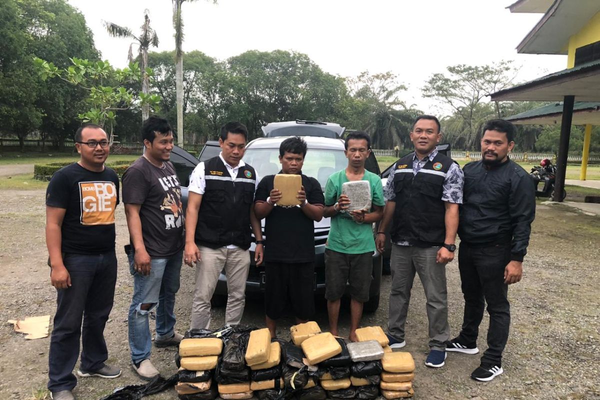 Dua warga Jawa Barat bawa 58 kg ganja ditangkap Polres Langkat