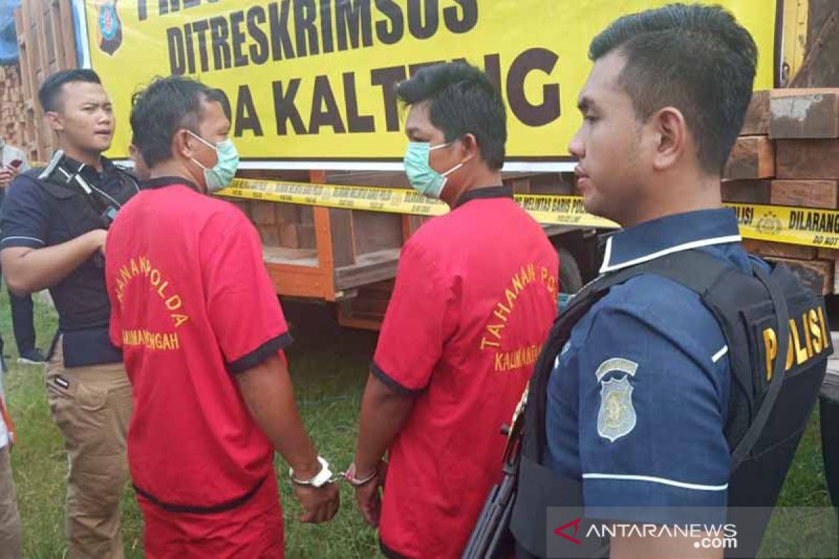 Polda Kalteng sita puluhan kubik kayu tanpa dokumen