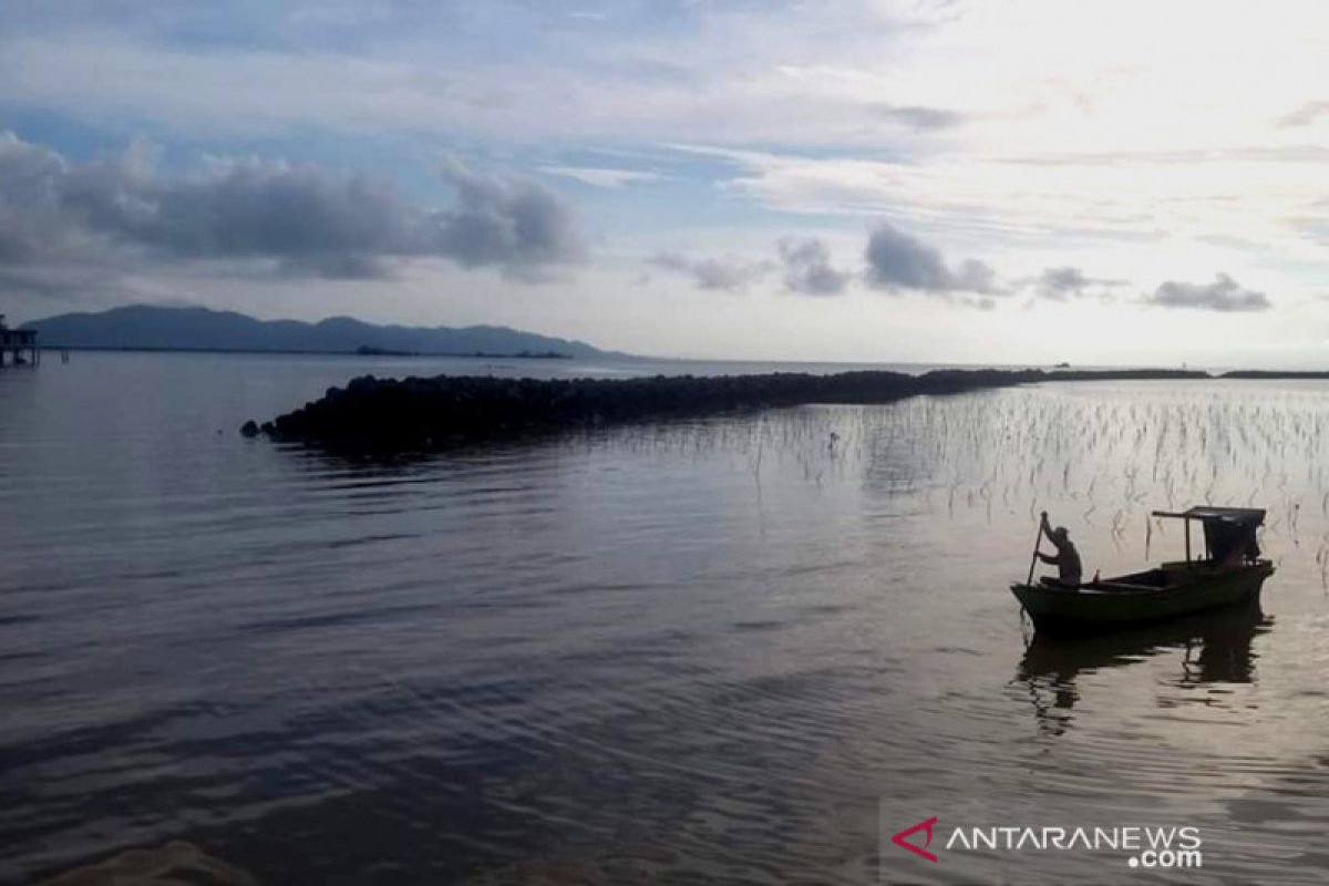 Polisi Tawau tahan WNI penyelundup kepiting bakau