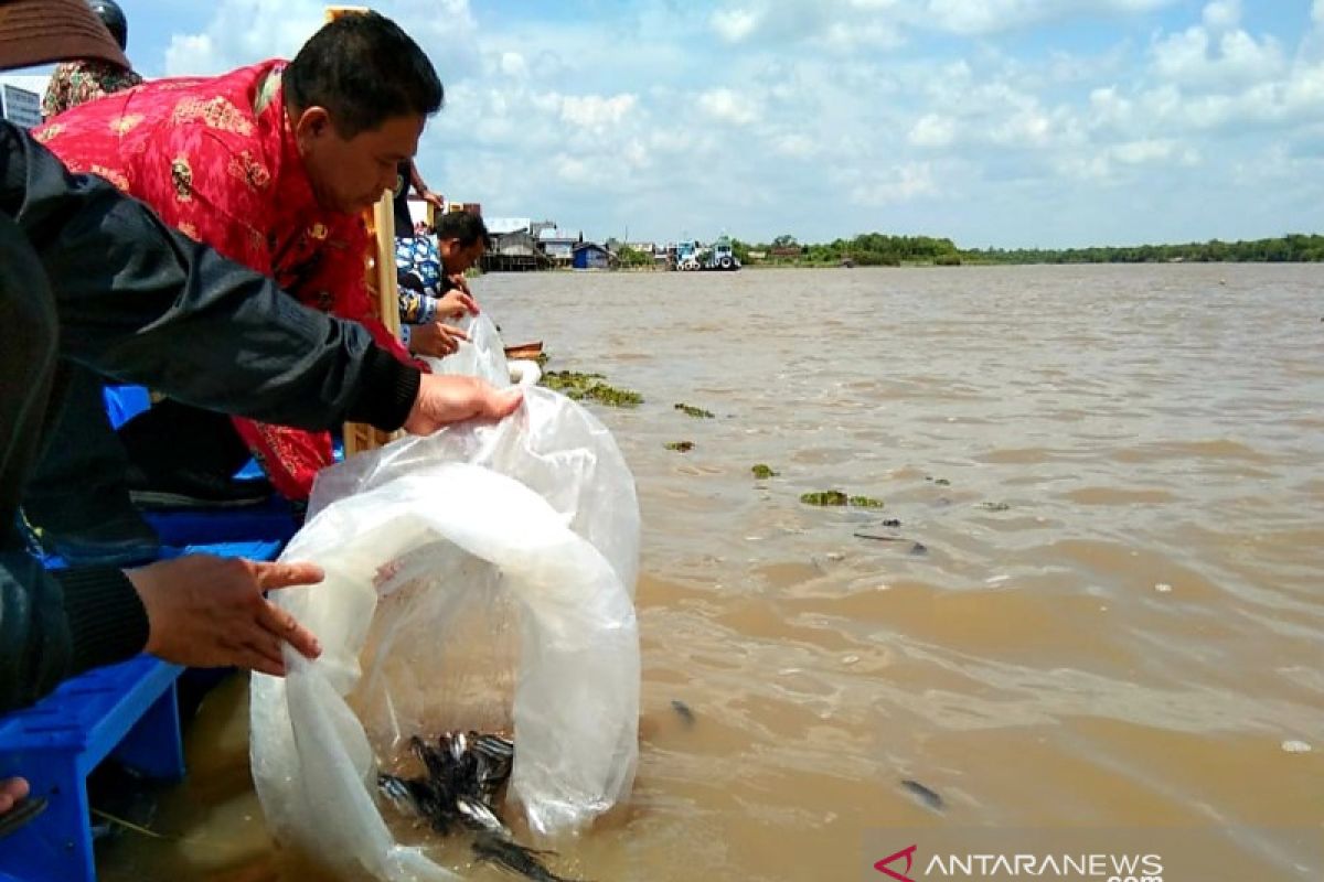 Mencegah perusakan ekosistem di perairan Seruyan, ribuan benih ikan dilepaskan