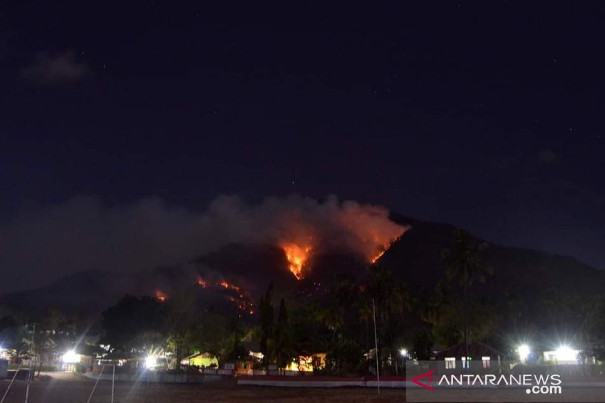 Gunung Ile Mandiri di Larantuka kembali dilanda karhutla