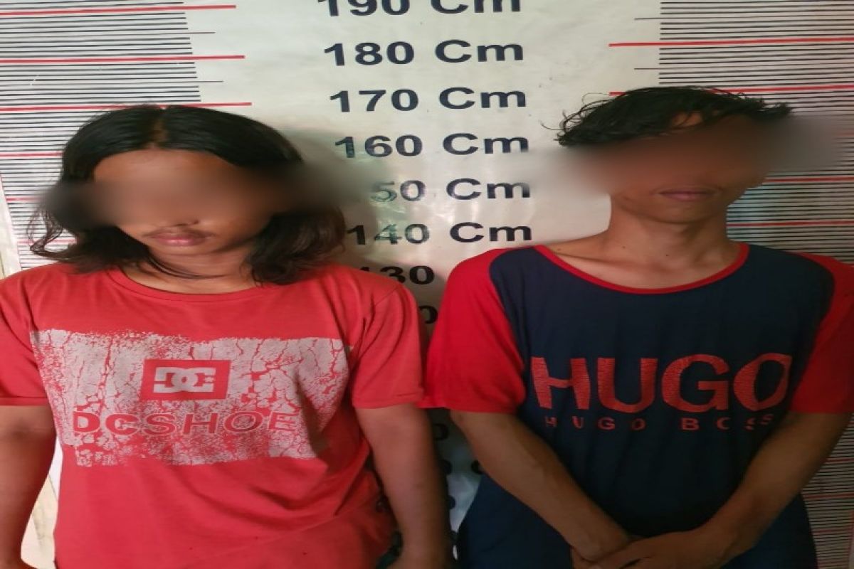 Dua remaja di Stabat ditangkap polisi karena memiliki sabu-sabu