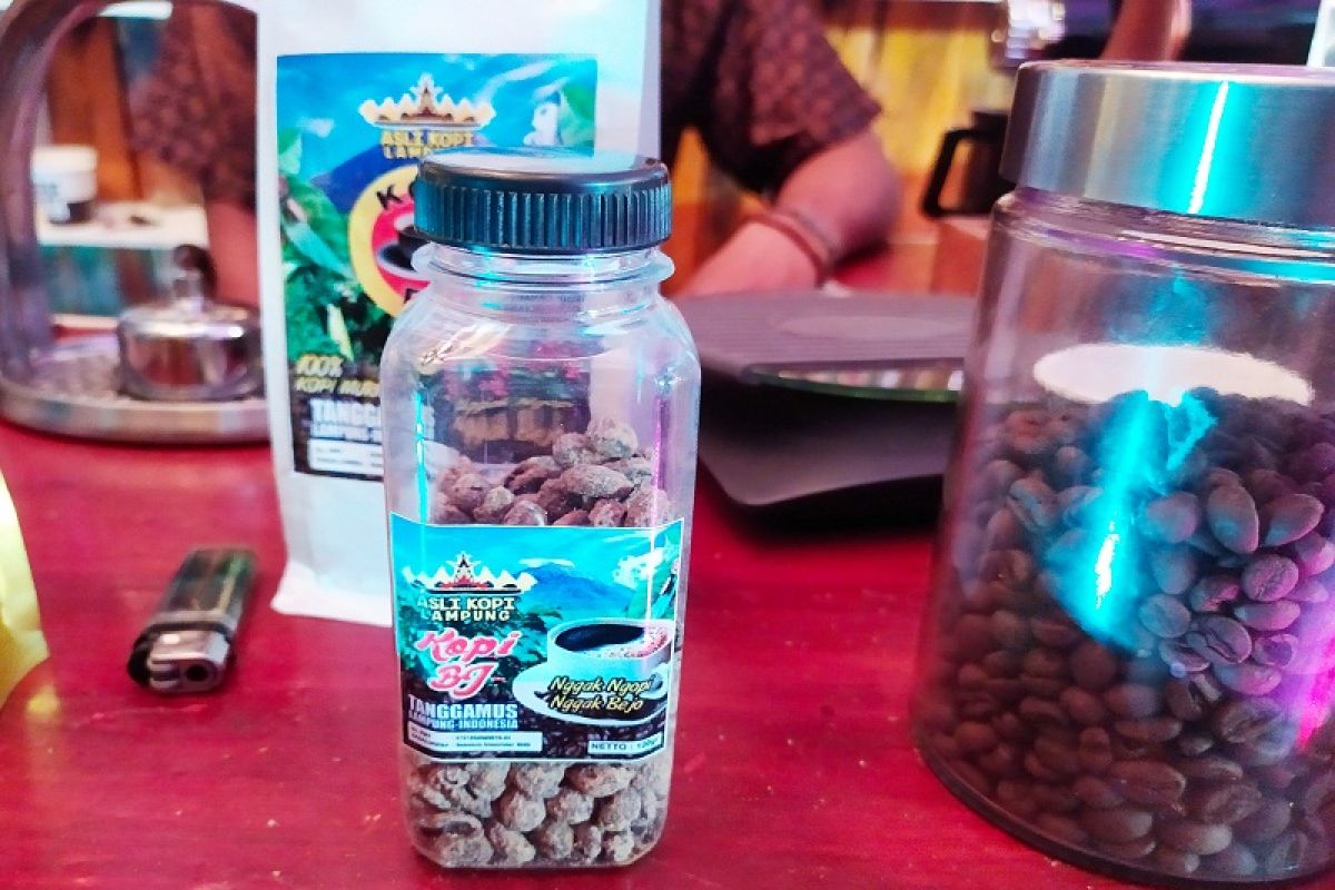 Marning biji kopi unik inovasi UMKM di Tanggamus Lampung