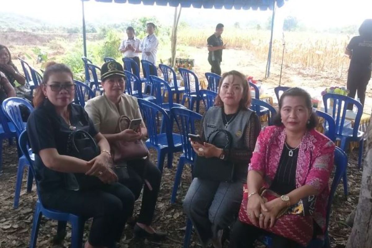 DPRD Gumas nilai PPL berperan penting dalam keberhasilan tanam jagung