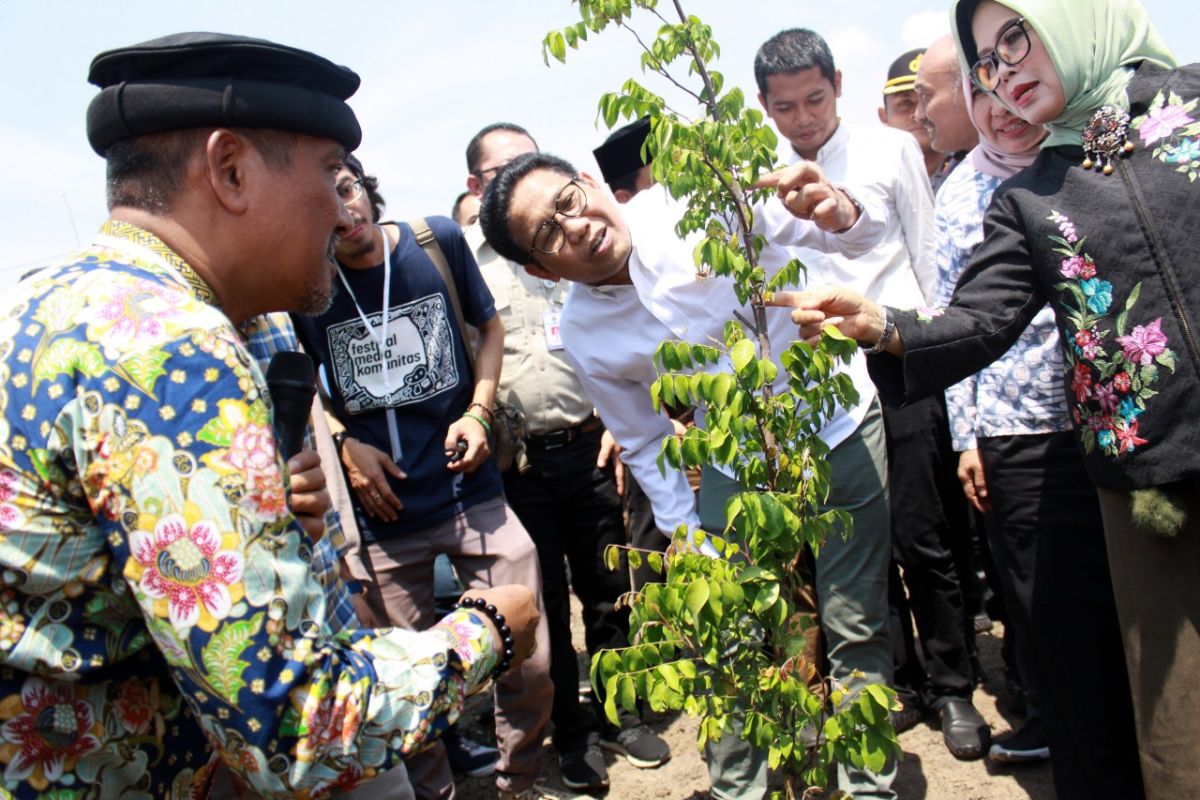 Desa Watesari terima dana Rp1,3 miliar dari Kementerian PDTT, kembangkan wisata petik buah belimbing