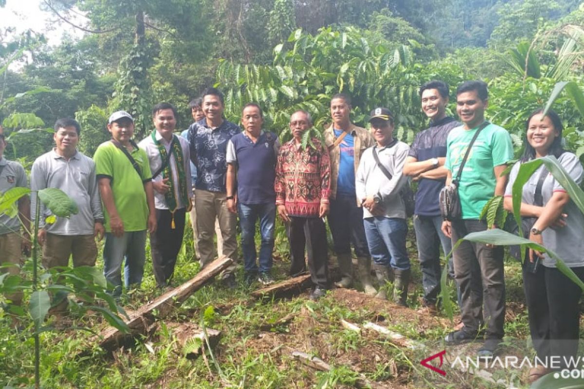 Bahenap, sentra desa kopi organik Kapuas Hulu