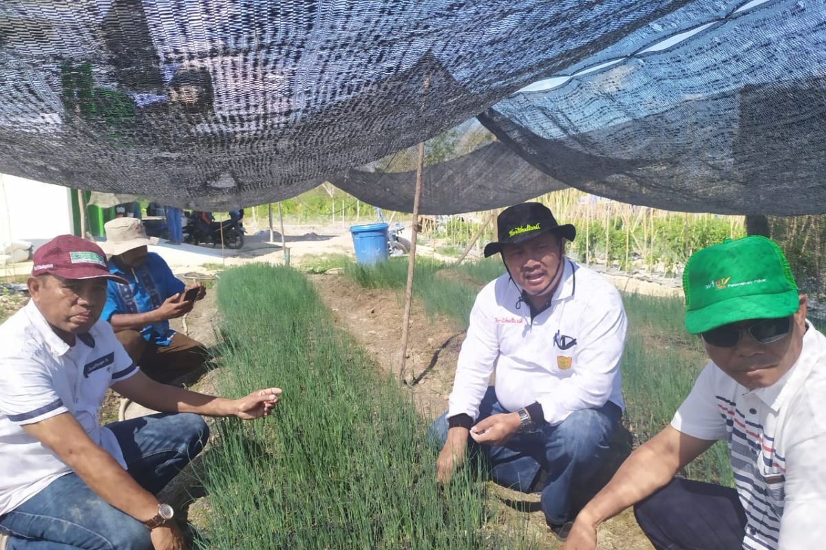 Kementan konsisten terapkan wajib tanam bawang putih