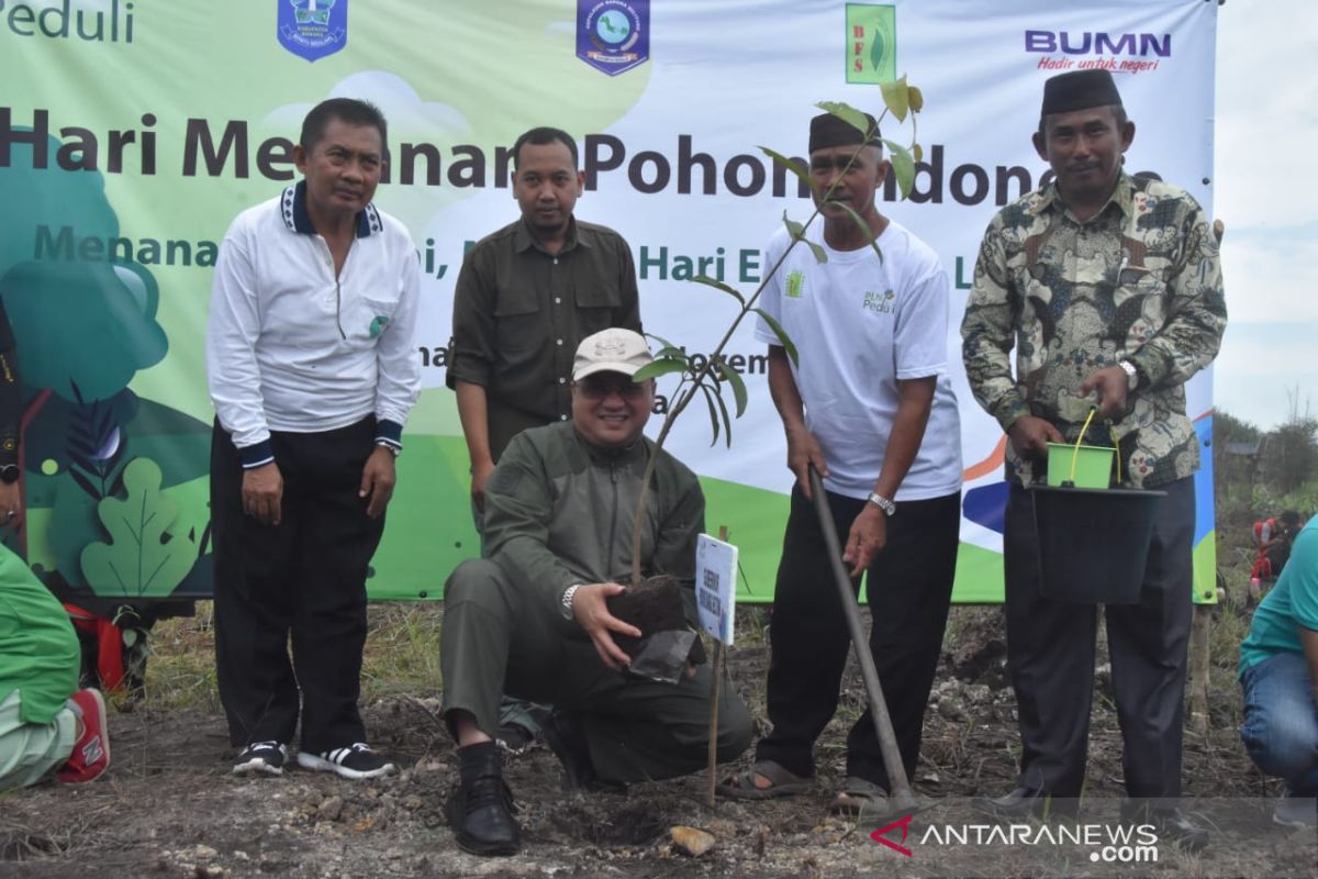 Pemprov Babel bersama PLN hijaukan kawasan wisata Biodiversity Sungai Upang