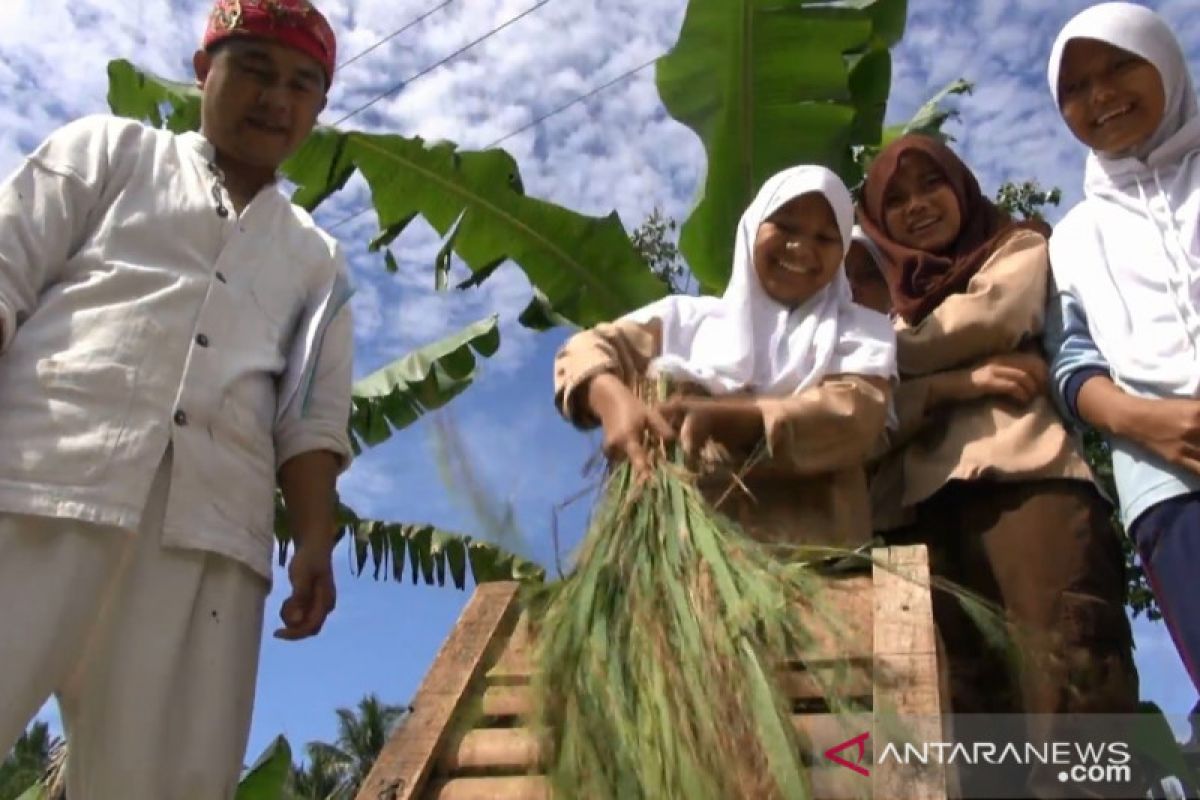 Kabupaten Sukabumi  surplus beras mencapai 400 ribu ton