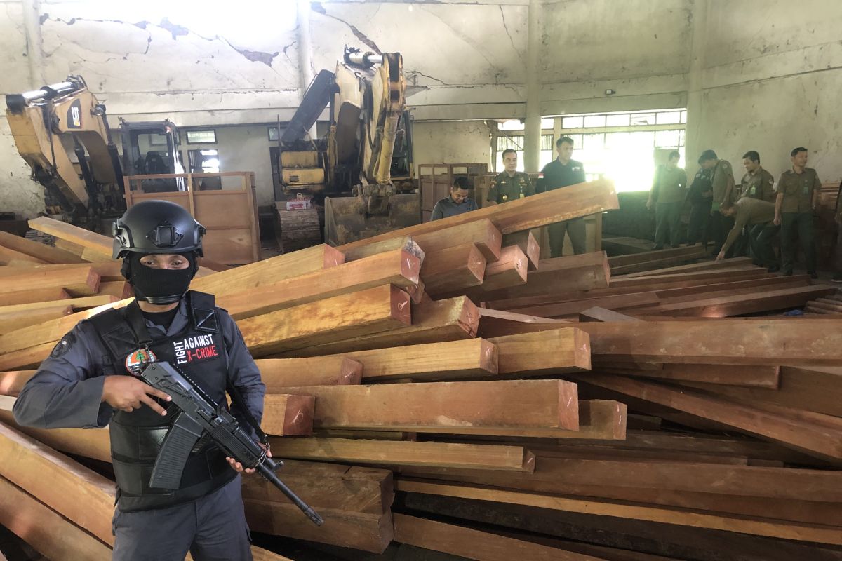 KLHK amankan ribuan kubik kayu ilegal Rp6 miliar
