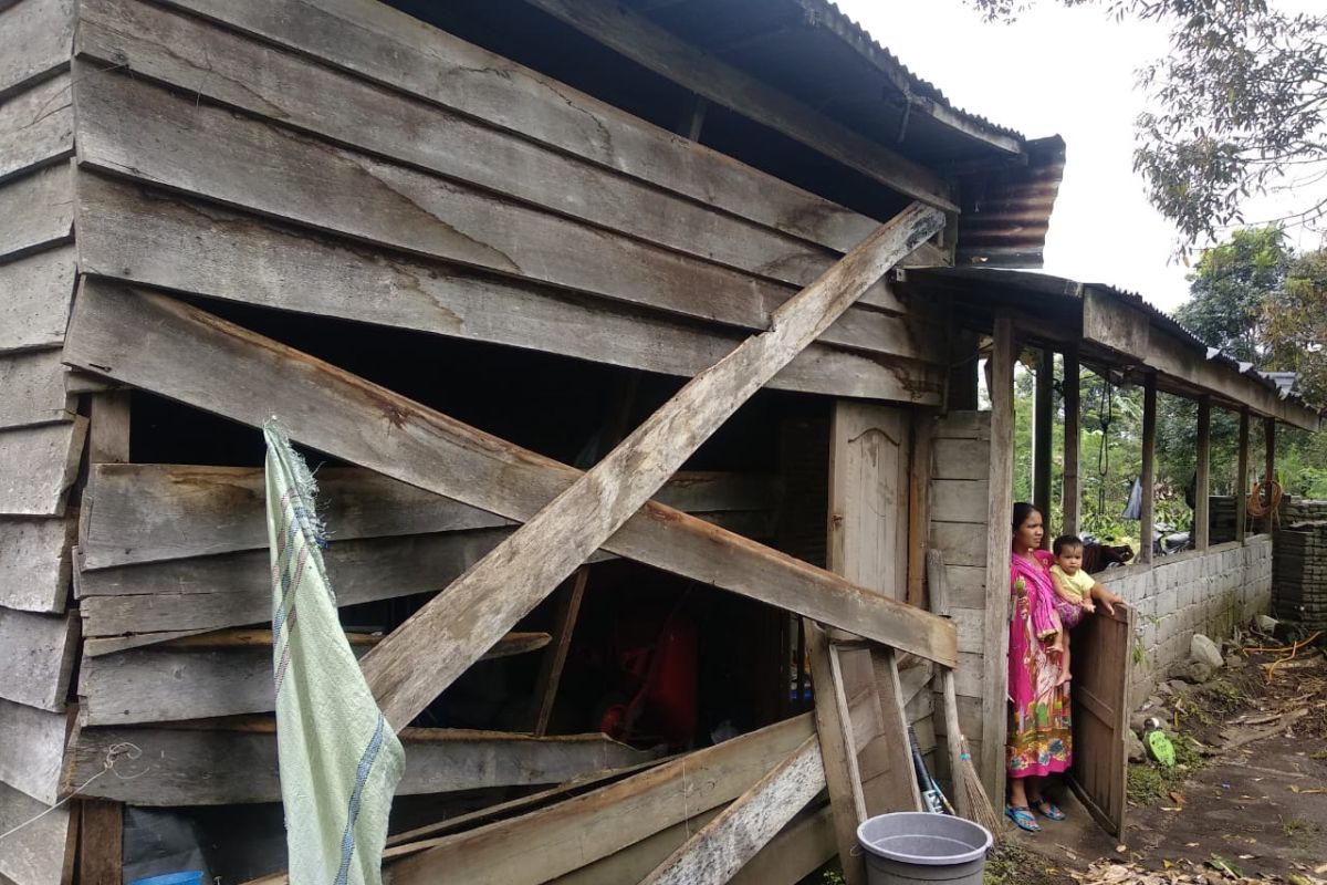 Gajah liar rusak 14 unit rumah warga